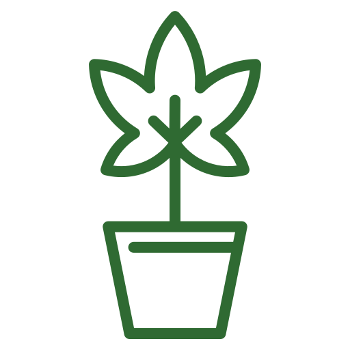Home-Grow Allowance
